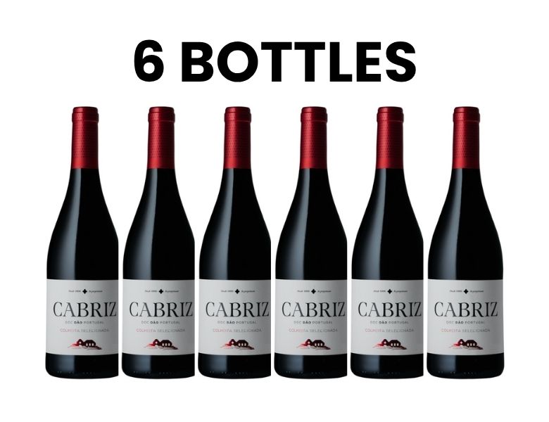Karton Cabriz Tinto 2022 6x75cl