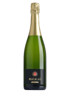 Domaine Moulin de Lene Magalas Brut Nature 2023 75cl